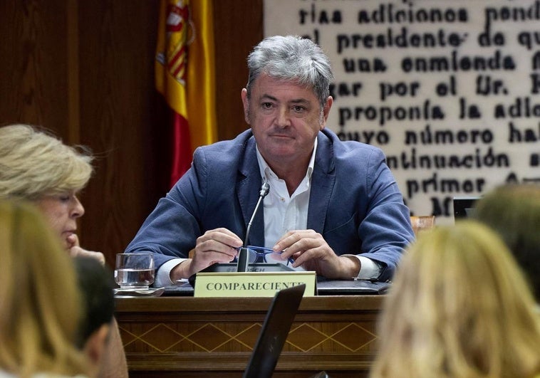 Antxon Alonso durante su comparecencia de este martes en el Senado.