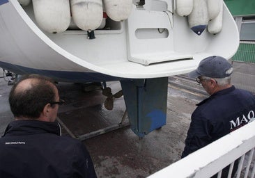 Aviso a navegantes en Euskadi: «Ha habido interacciones de orcas con barcos, esperamos que sean puntuales»