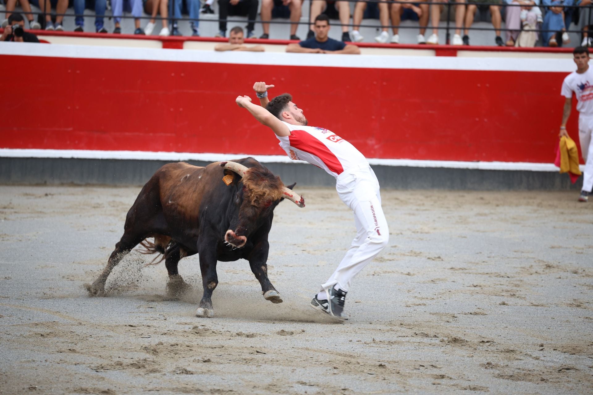 Los recortadores vuelven a triunfar en la plaza de Azpeitia