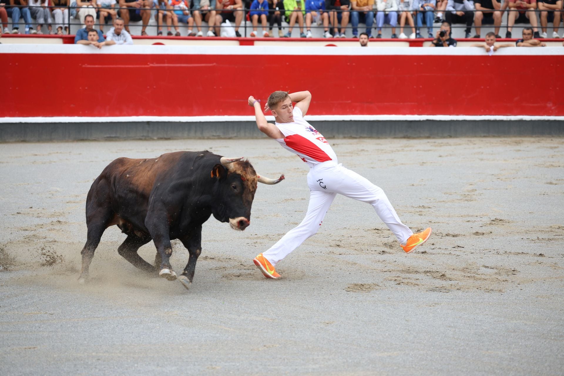 Los recortadores vuelven a triunfar en la plaza de Azpeitia