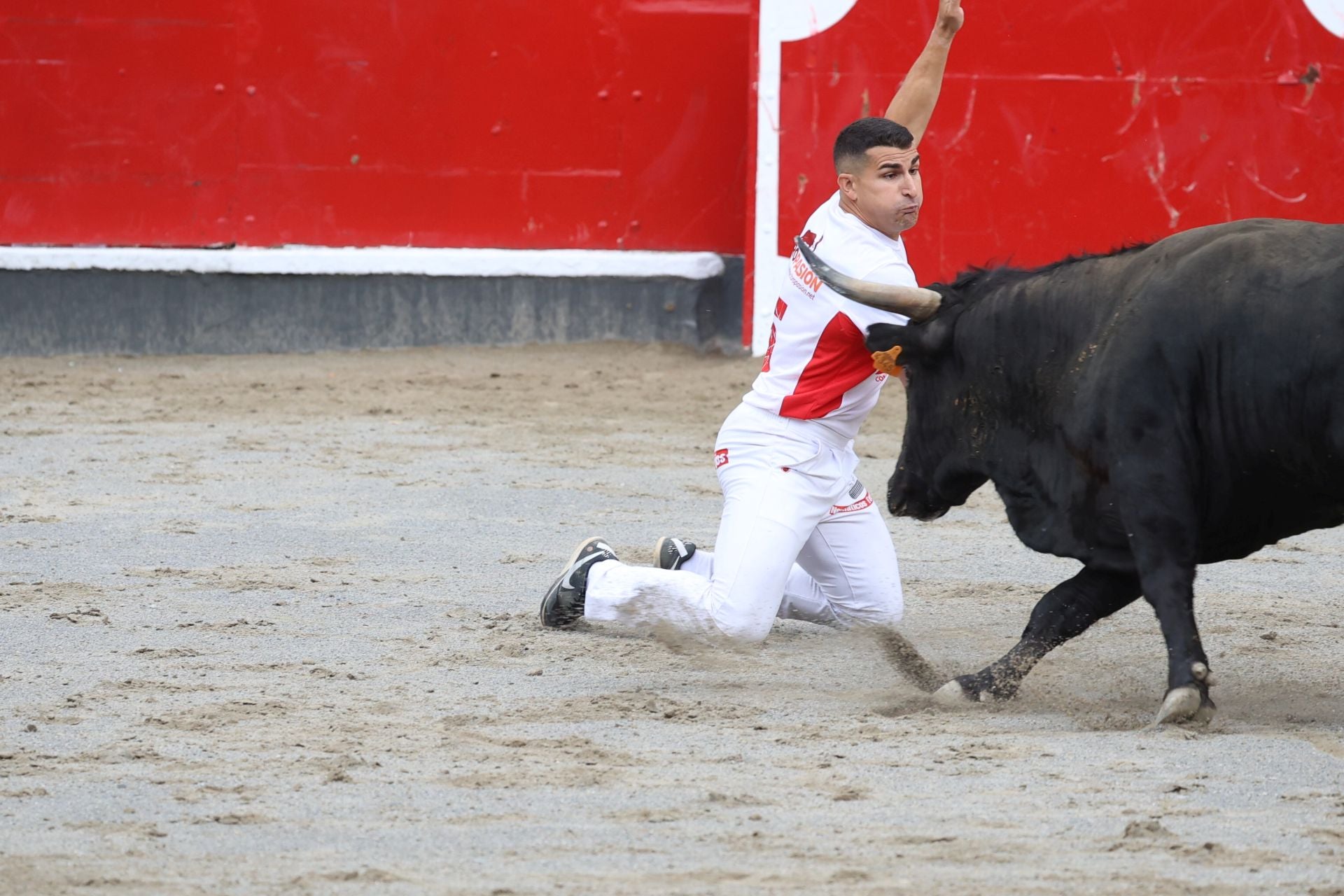 Los recortadores vuelven a triunfar en la plaza de Azpeitia