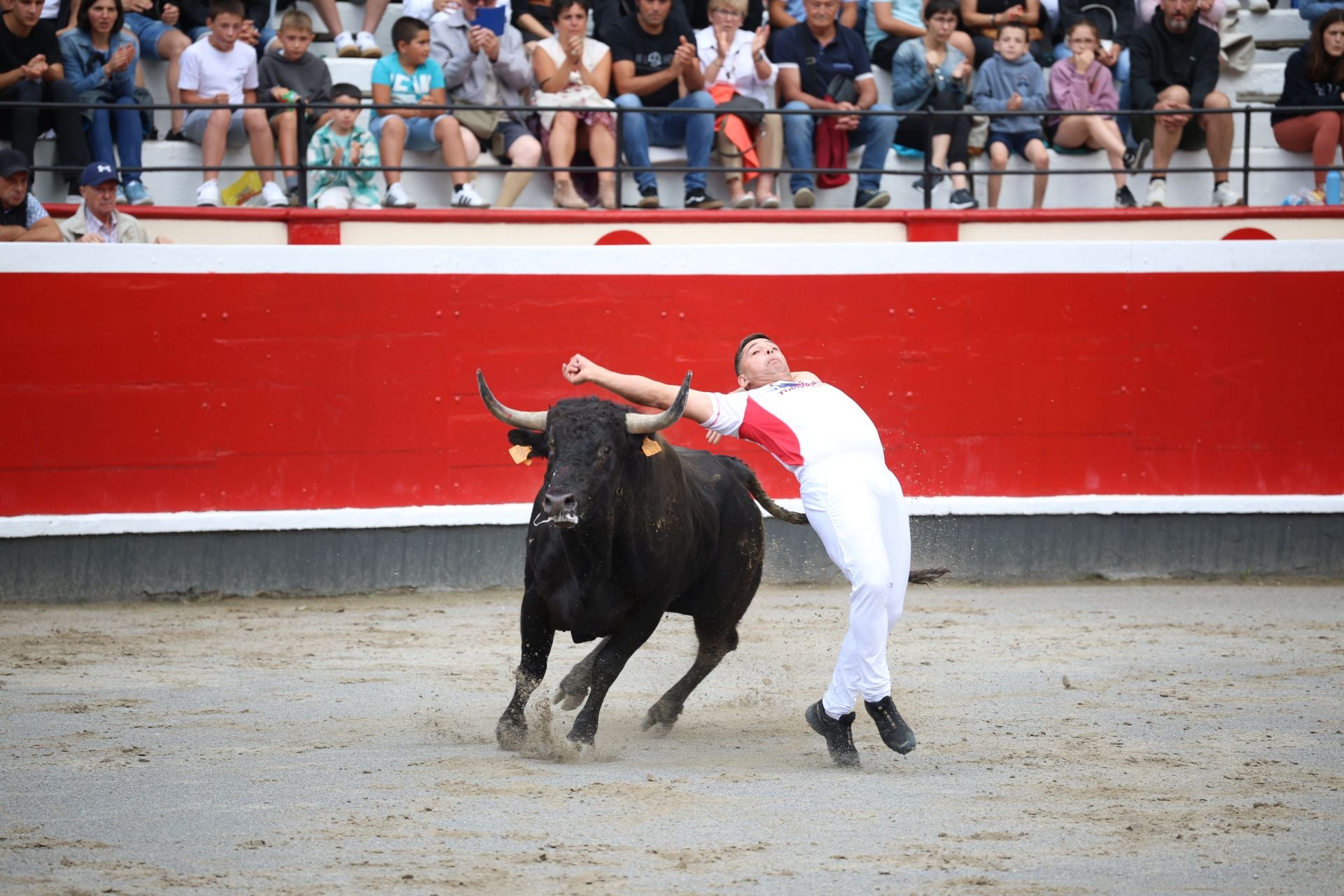 Los recortadores vuelven a triunfar en la plaza de Azpeitia