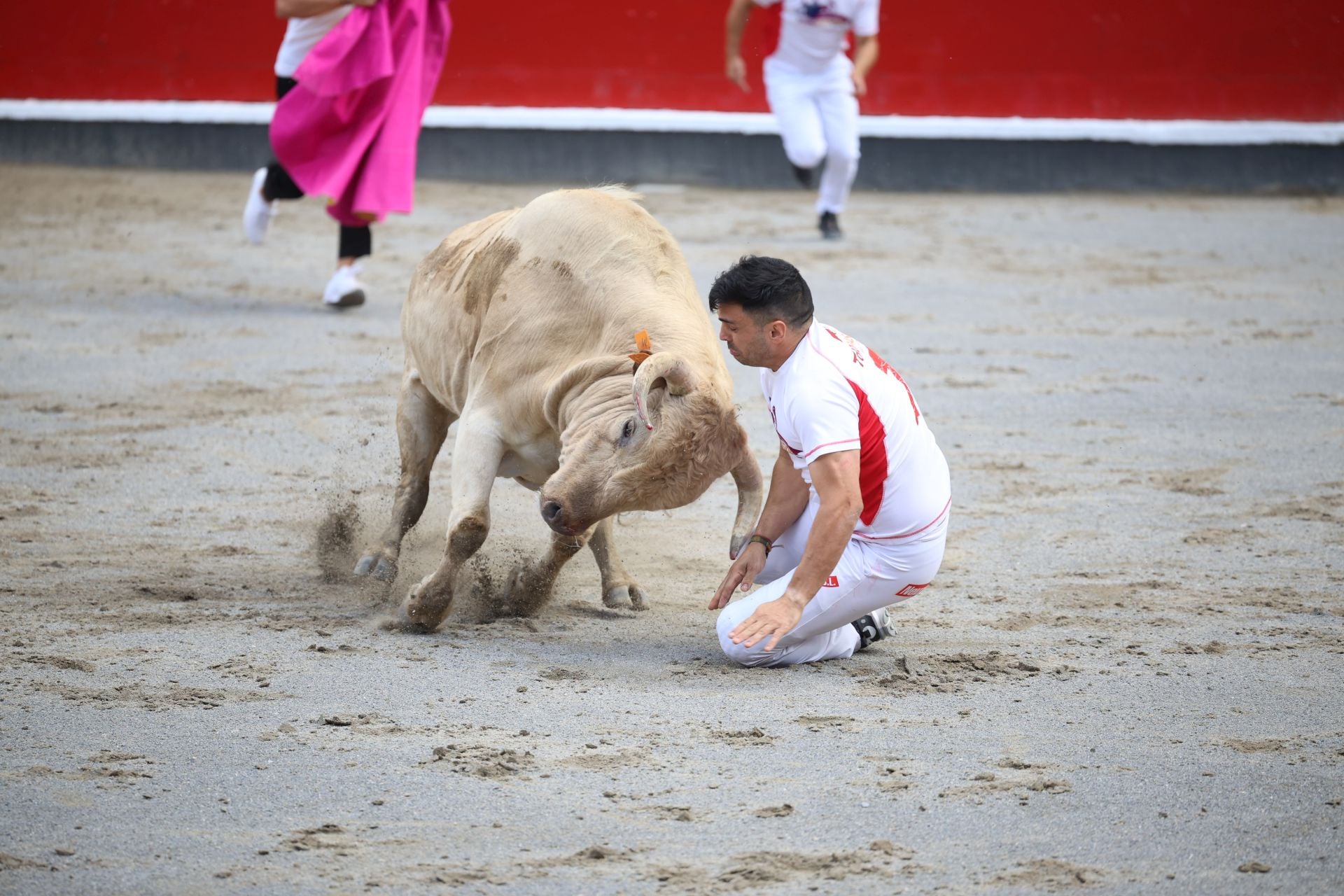 Los recortadores vuelven a triunfar en la plaza de Azpeitia