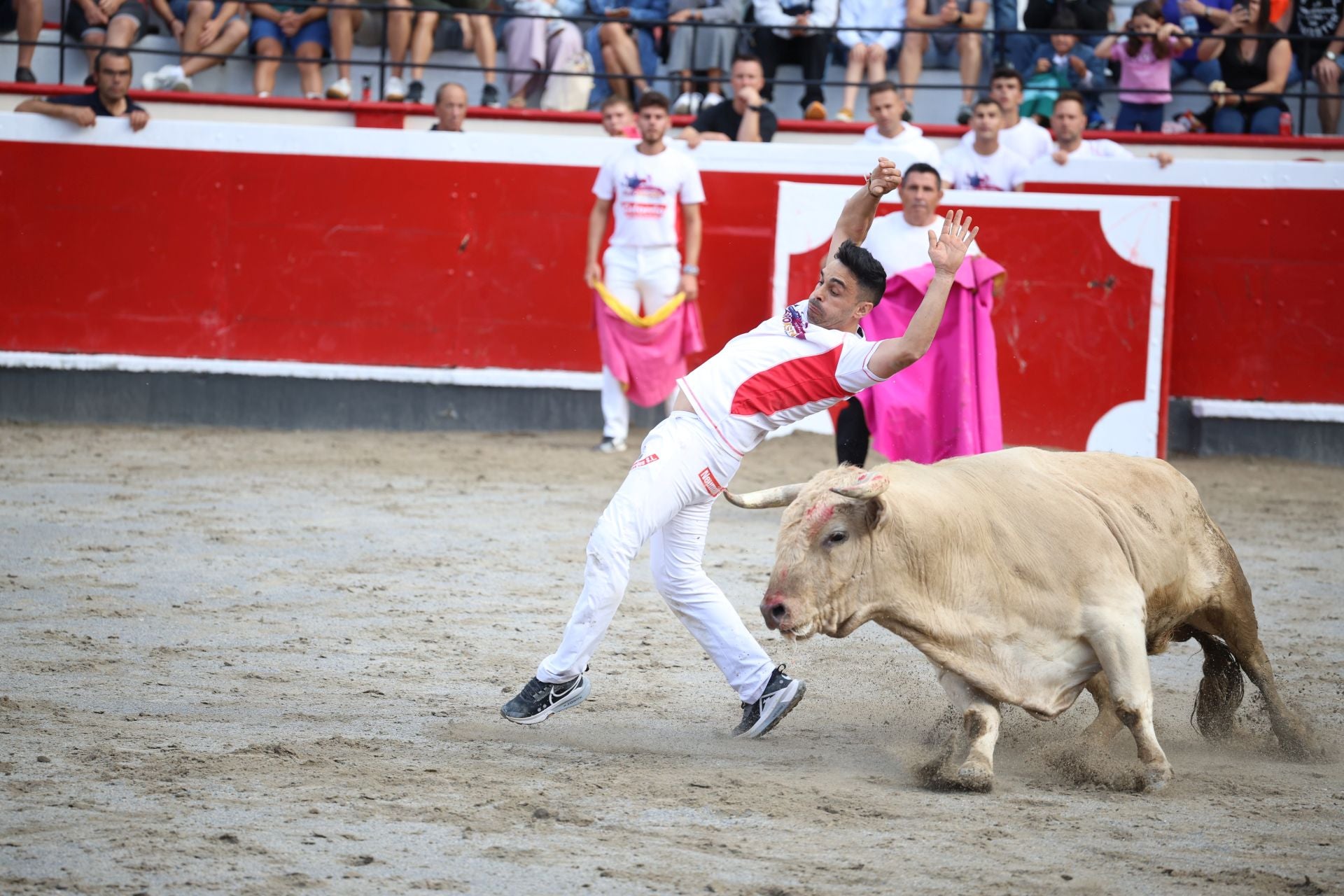 Los recortadores vuelven a triunfar en la plaza de Azpeitia