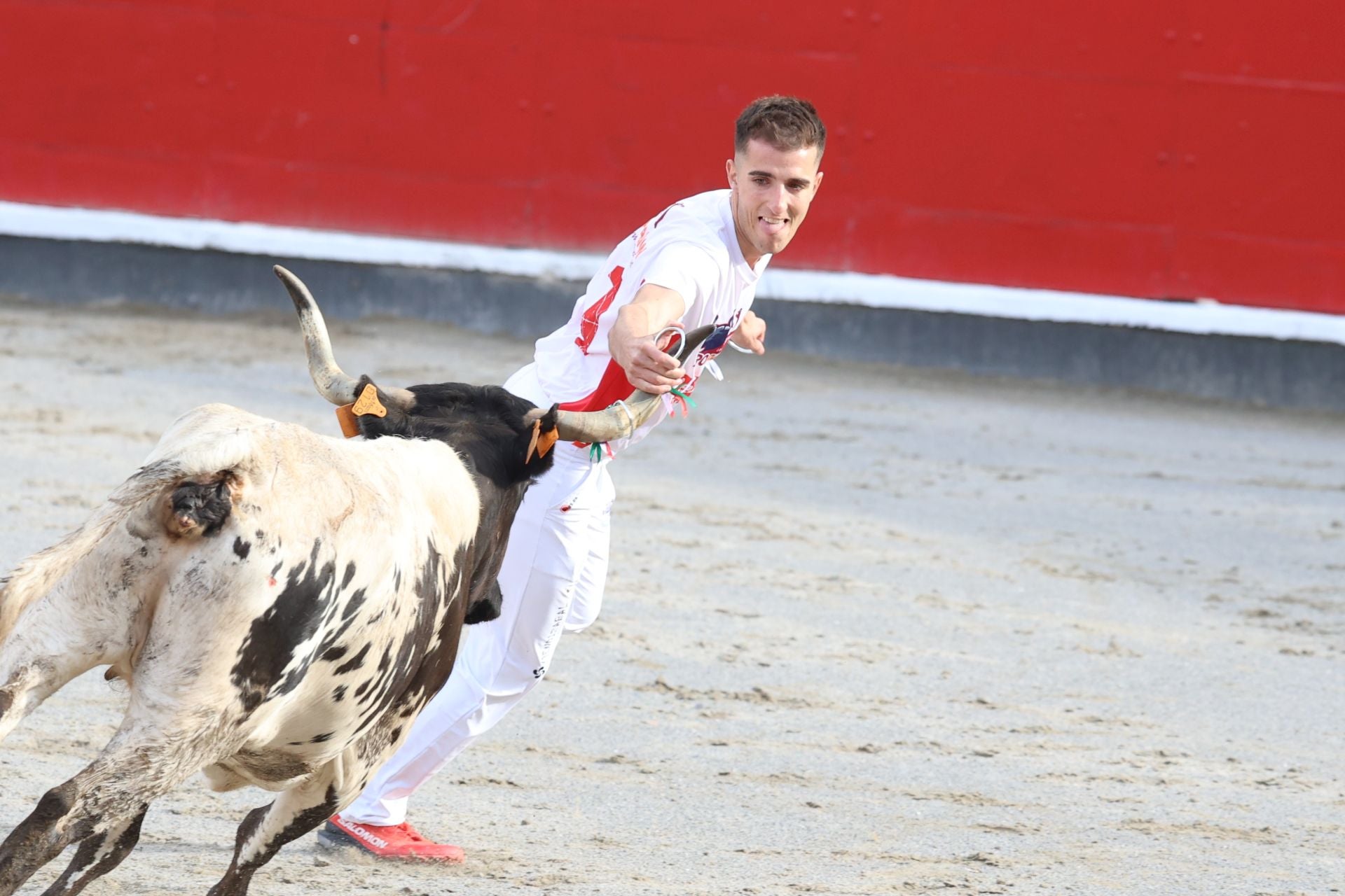 Los recortadores vuelven a triunfar en la plaza de Azpeitia
