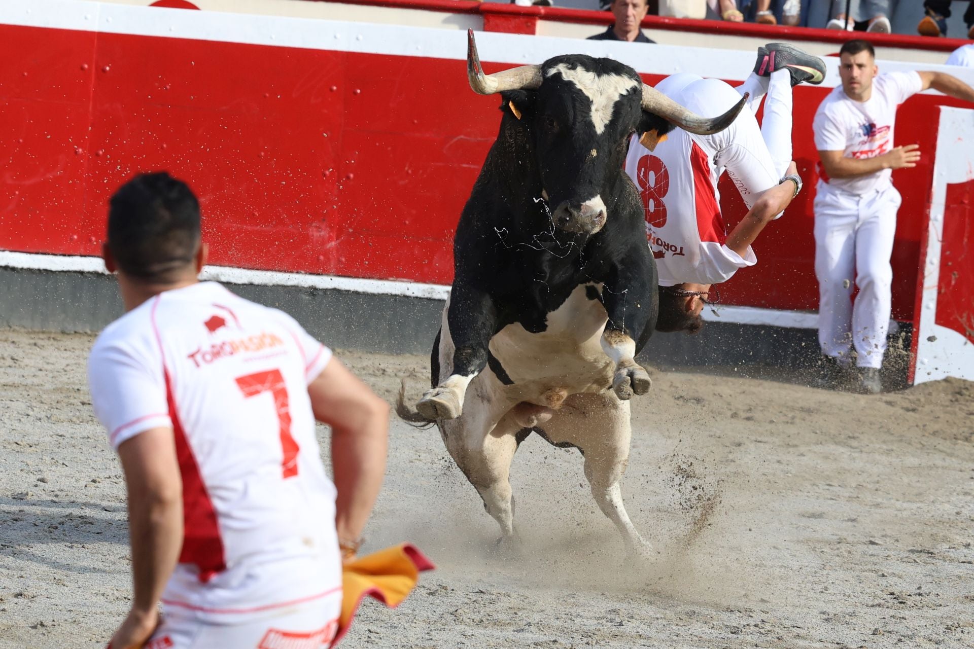 Los recortadores vuelven a triunfar en la plaza de Azpeitia