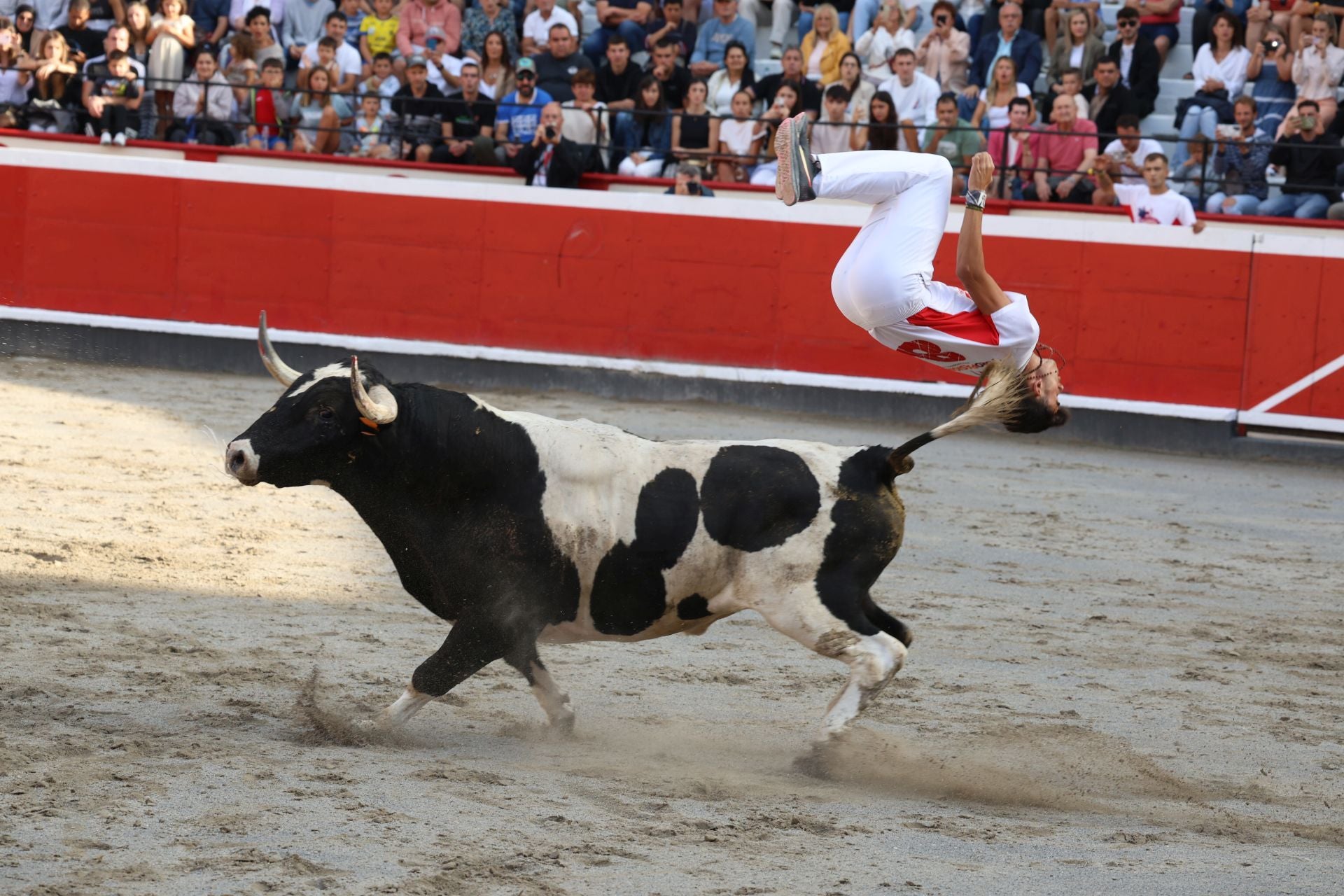 Los recortadores vuelven a triunfar en la plaza de Azpeitia