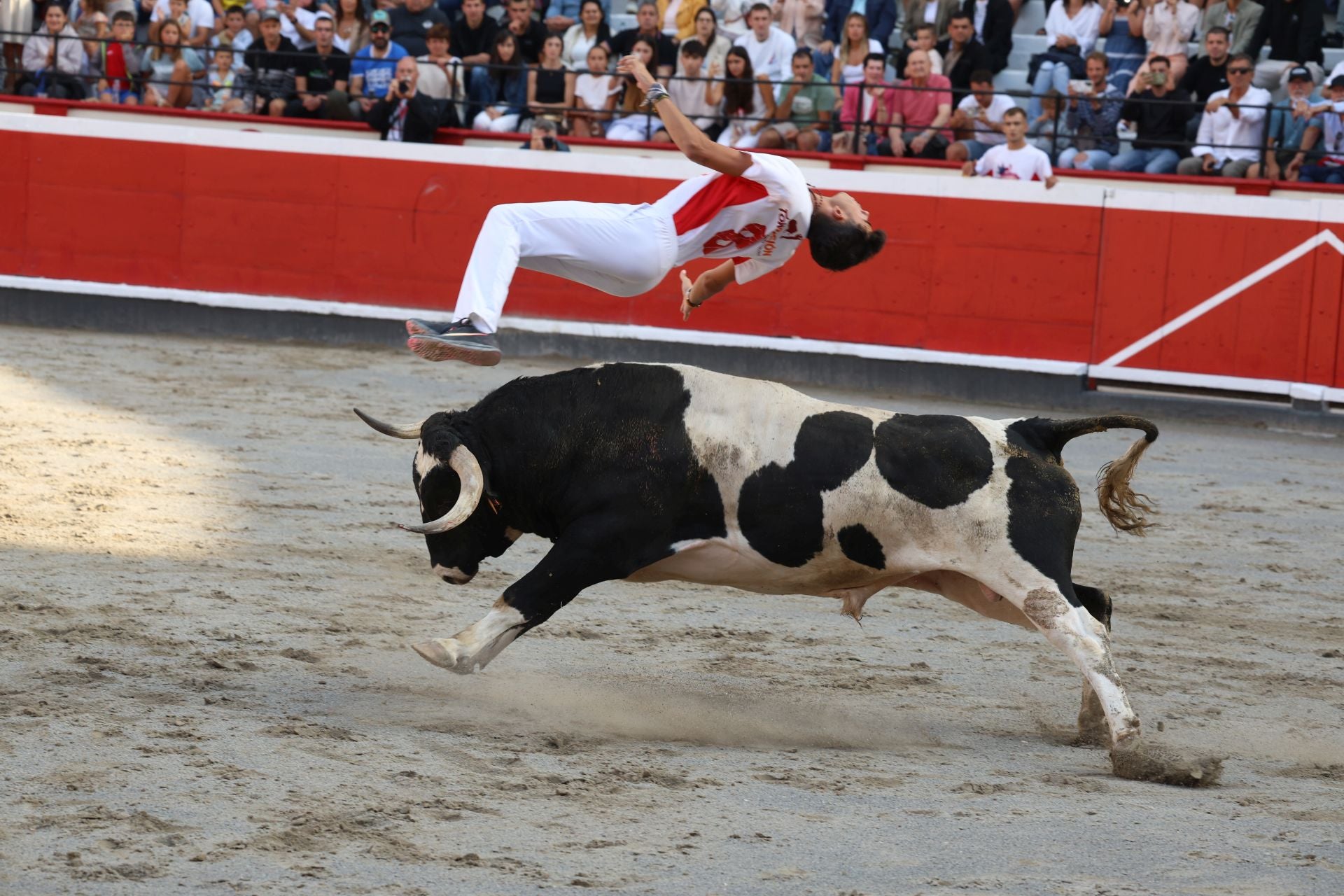 Los recortadores vuelven a triunfar en la plaza de Azpeitia
