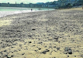 Mónica Arriaga nos envía esta imagen de la playa de Ondarreta: «Nos preguntamos por qué, año tras año, la temporada comienza con una considerable cantidad de piedras en el arenal y va in crescendo día tras día. Tenemos media playa convertida en cantera, desde el Tenis hasta el puesto de vigilancia».