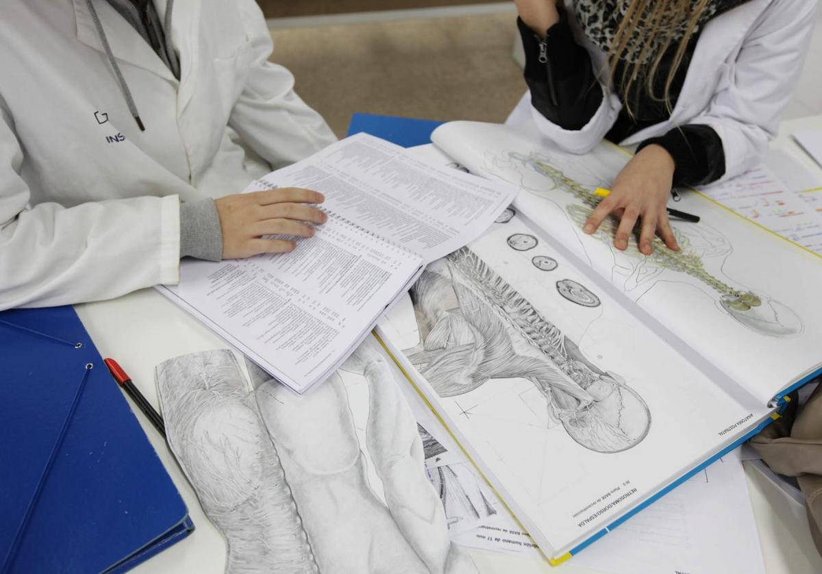 Cinco estudiantes de medicina de la EHU, entre las 100 mejores notas MIR.