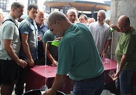 Sagardoa. Arkupe bakoitzeko sagardo bat izan ohi da txapelketan, 23 guztira. argazkiak eli aizpuru