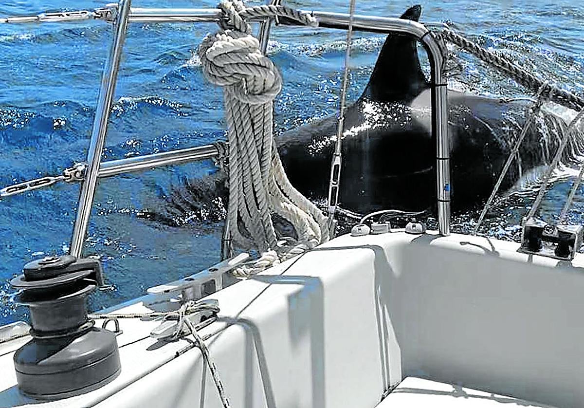 Bharti Jha full porn a daring and bold display