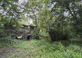 El jardín botánico de las inmediaciones del caserío Sagastietxea, que se encuentra en ruinas, será restaurado.
