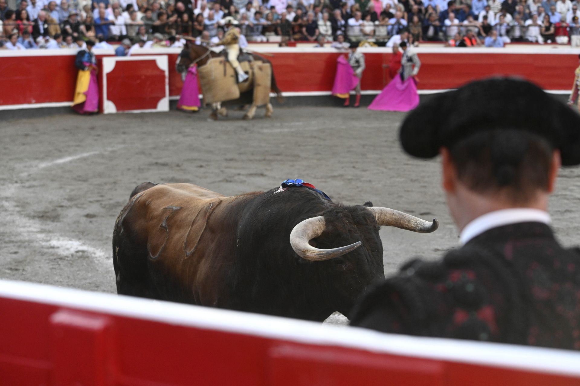 Lleno en Azpeitia para ver los toros