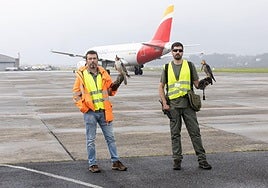 Ángel de Pazo y Arturo Núñez, con los halcones posados en sus brazos.