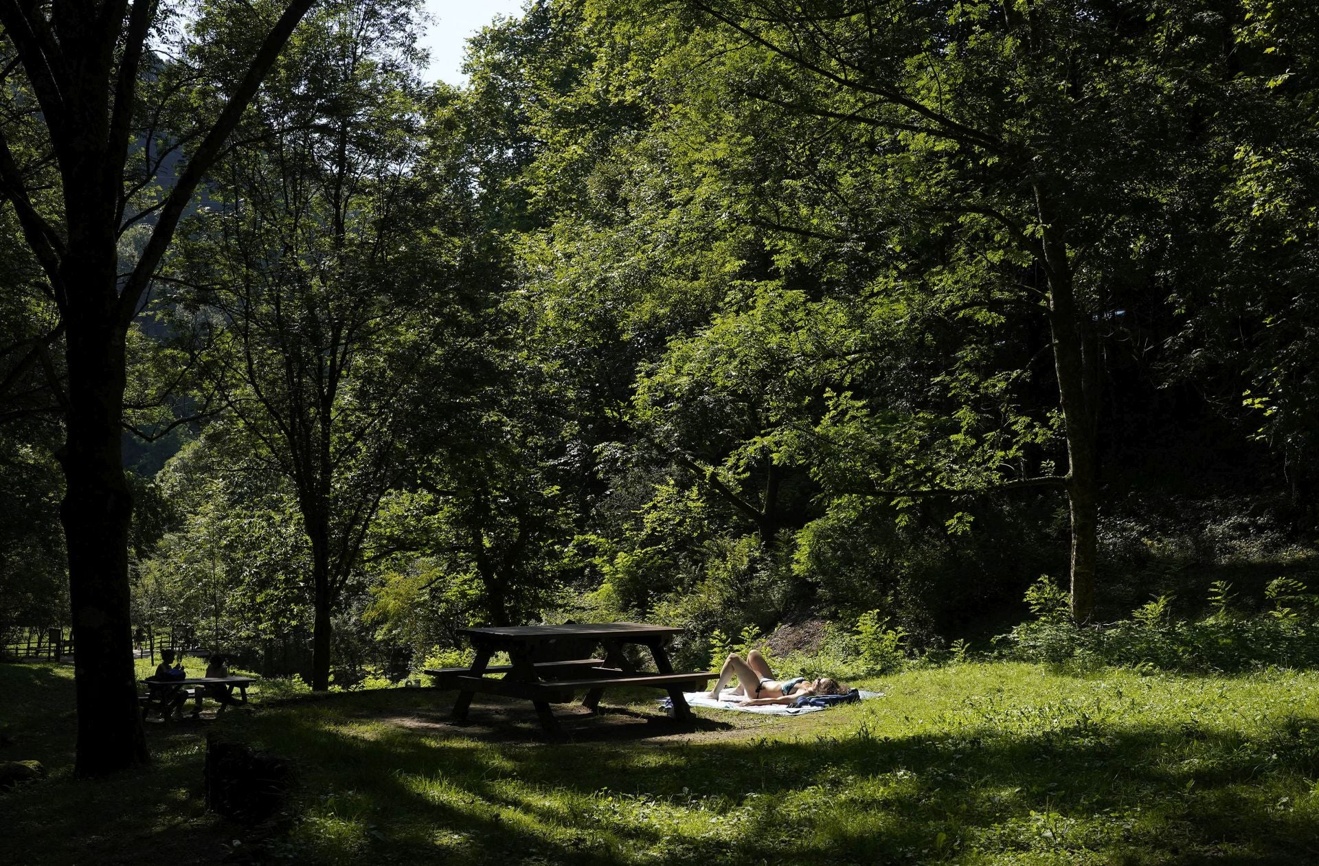 Semana de sol y calor