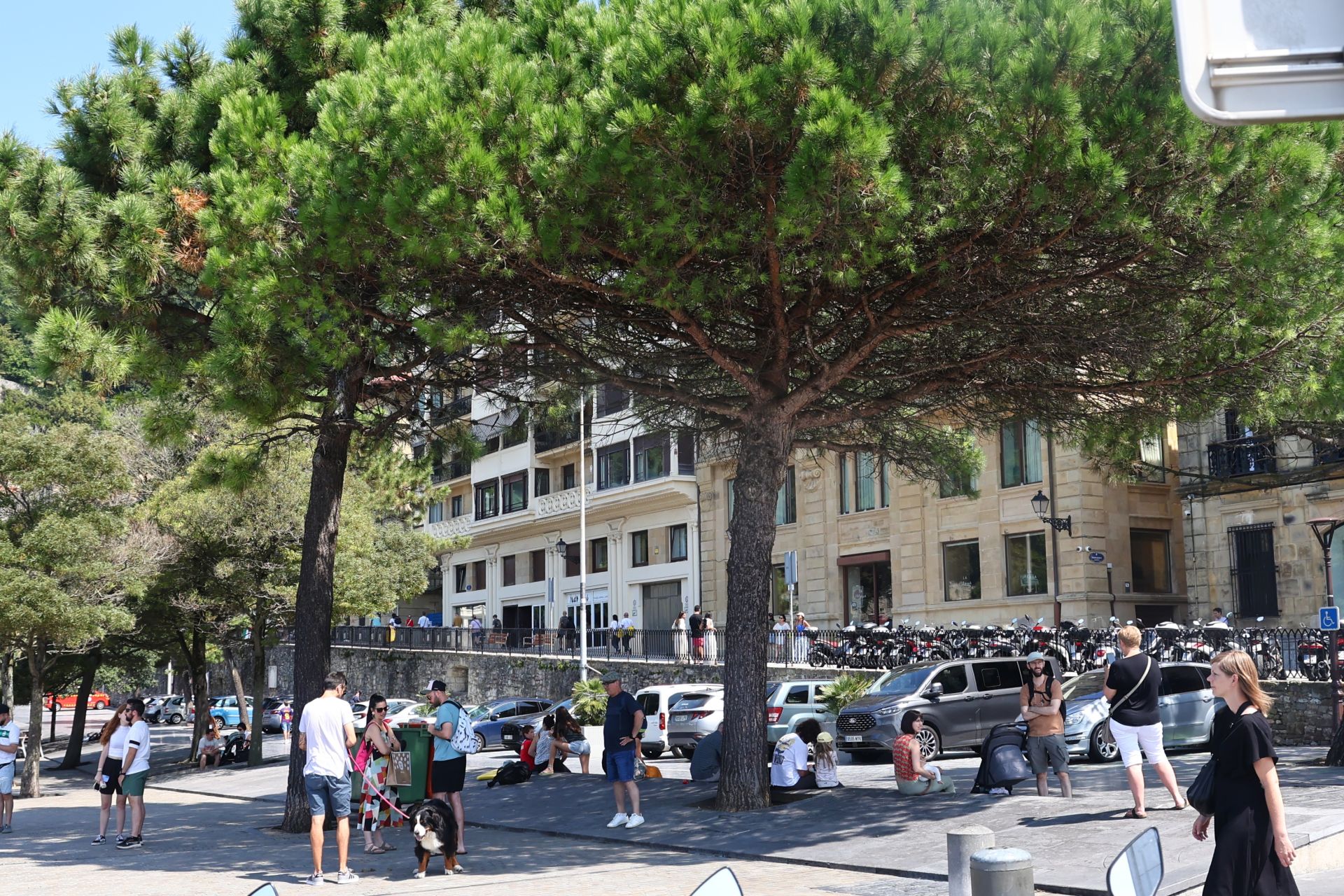 Semana de sol y calor