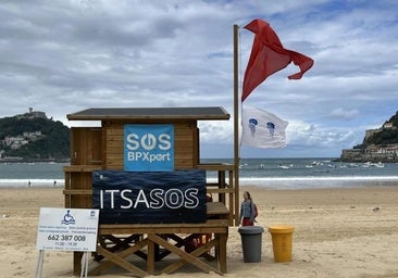 Un experto explica por qué las carabelas portuguesas llegan por la tarde: «Cuanto más calor hay en tierra...»