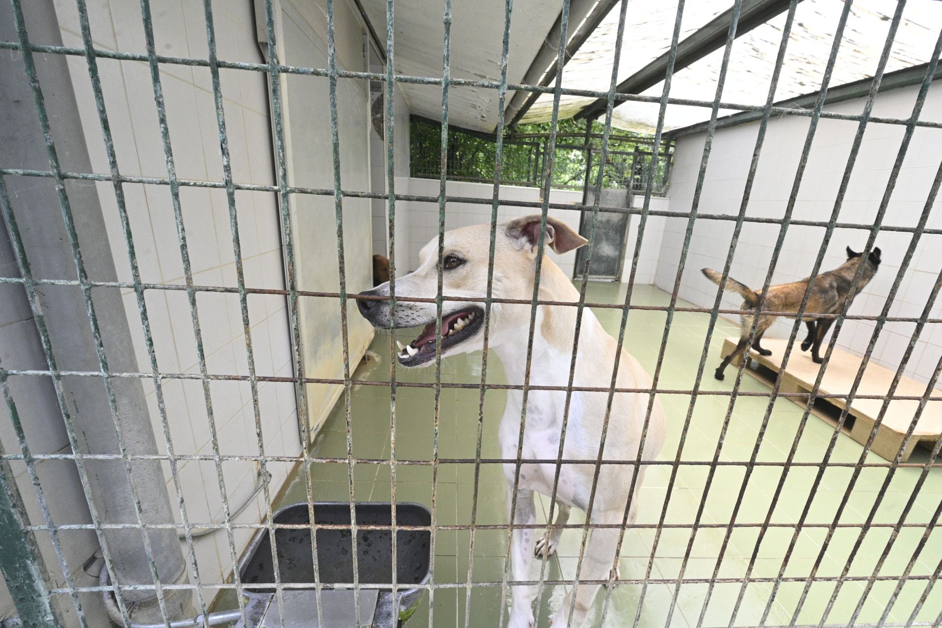 Una protectora llena de colores