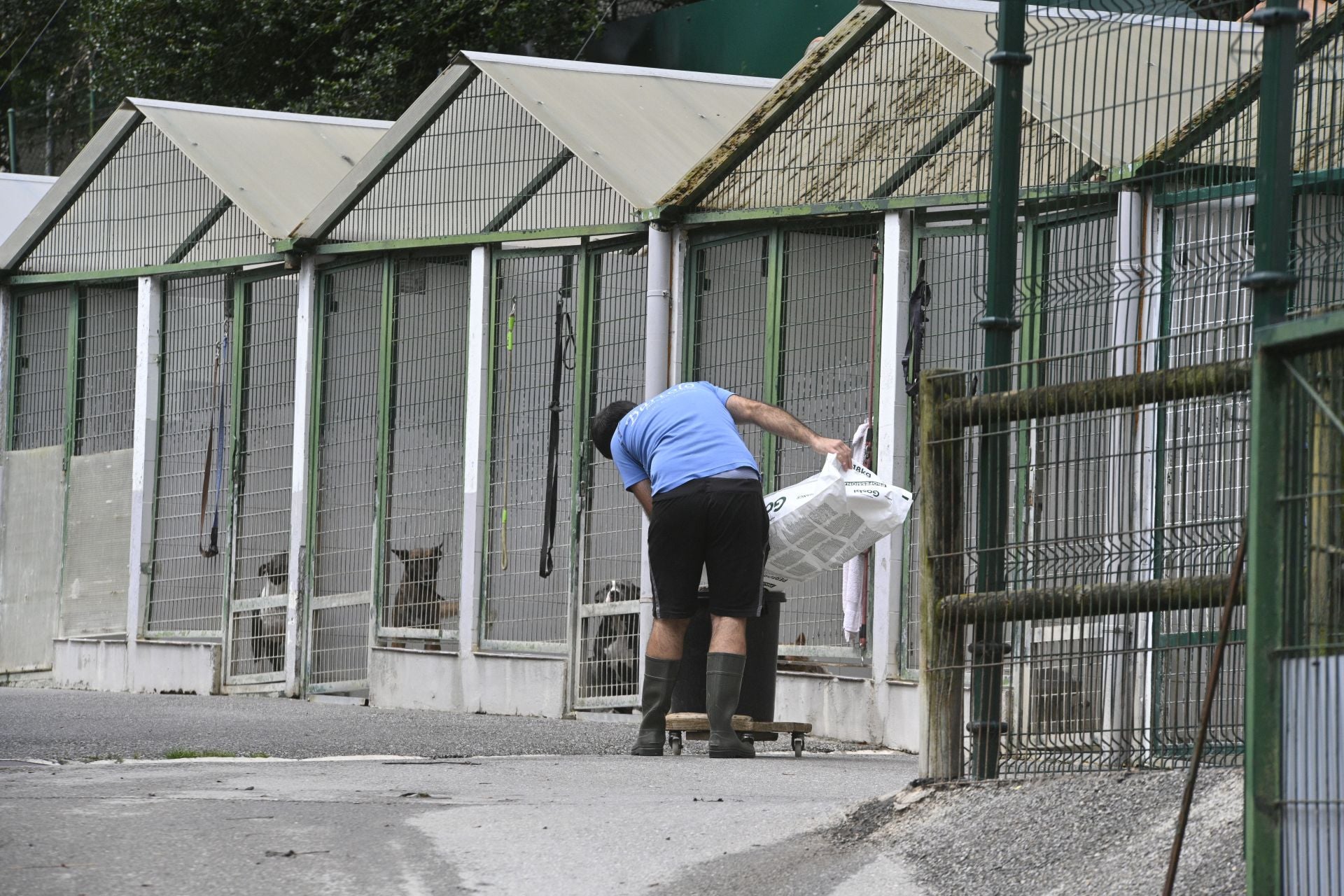 Una protectora llena de colores