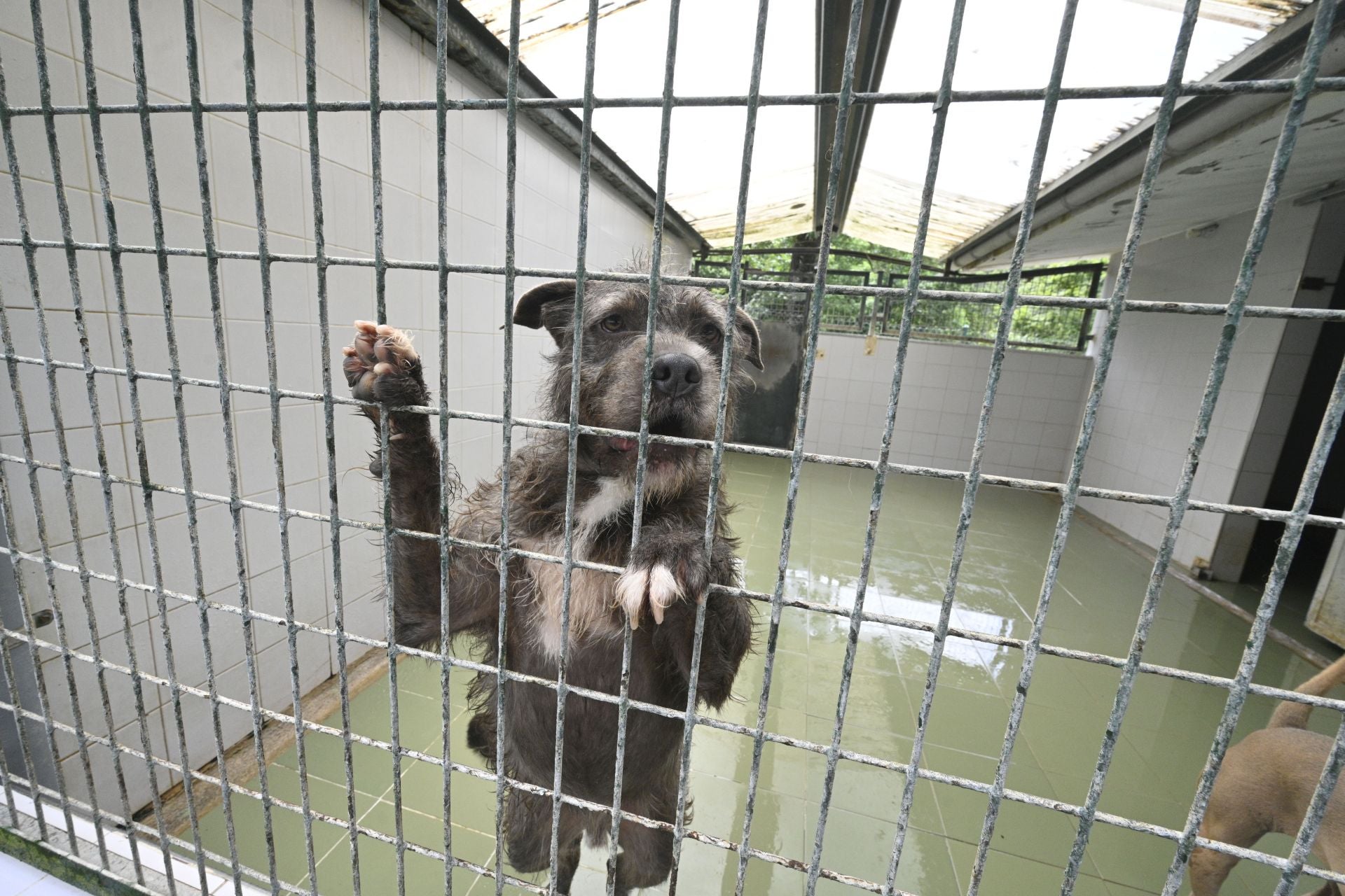Una protectora llena de colores