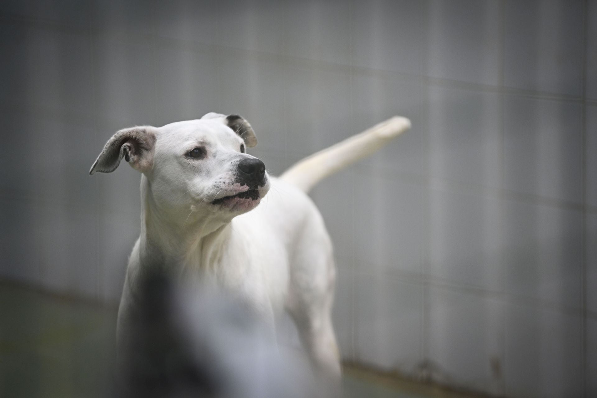 Una protectora llena de colores