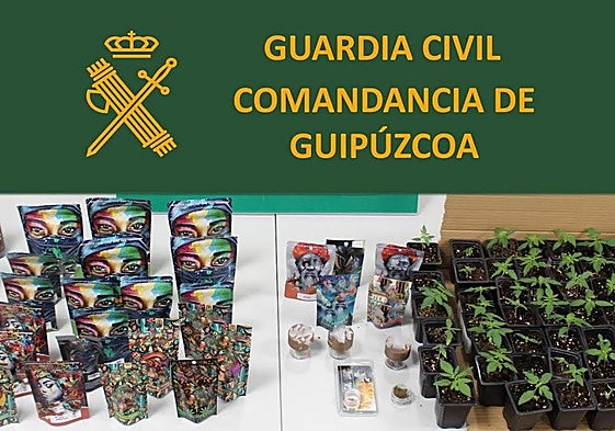 Decomisan en una tienda de Donostia cannabis y marihuana enviados por paquetería desde Murcia