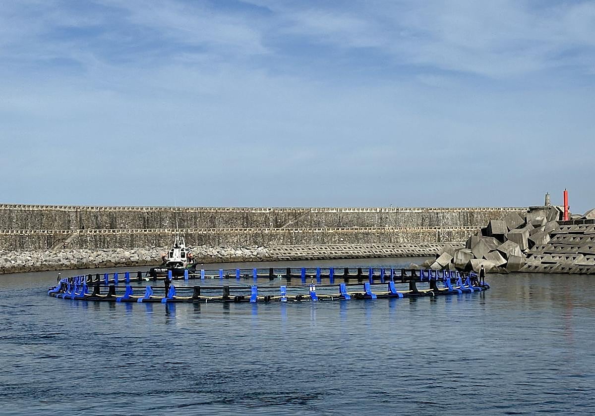 Vista de una de las jaulas de la granja marina de atún rojo instalada en Getaria.