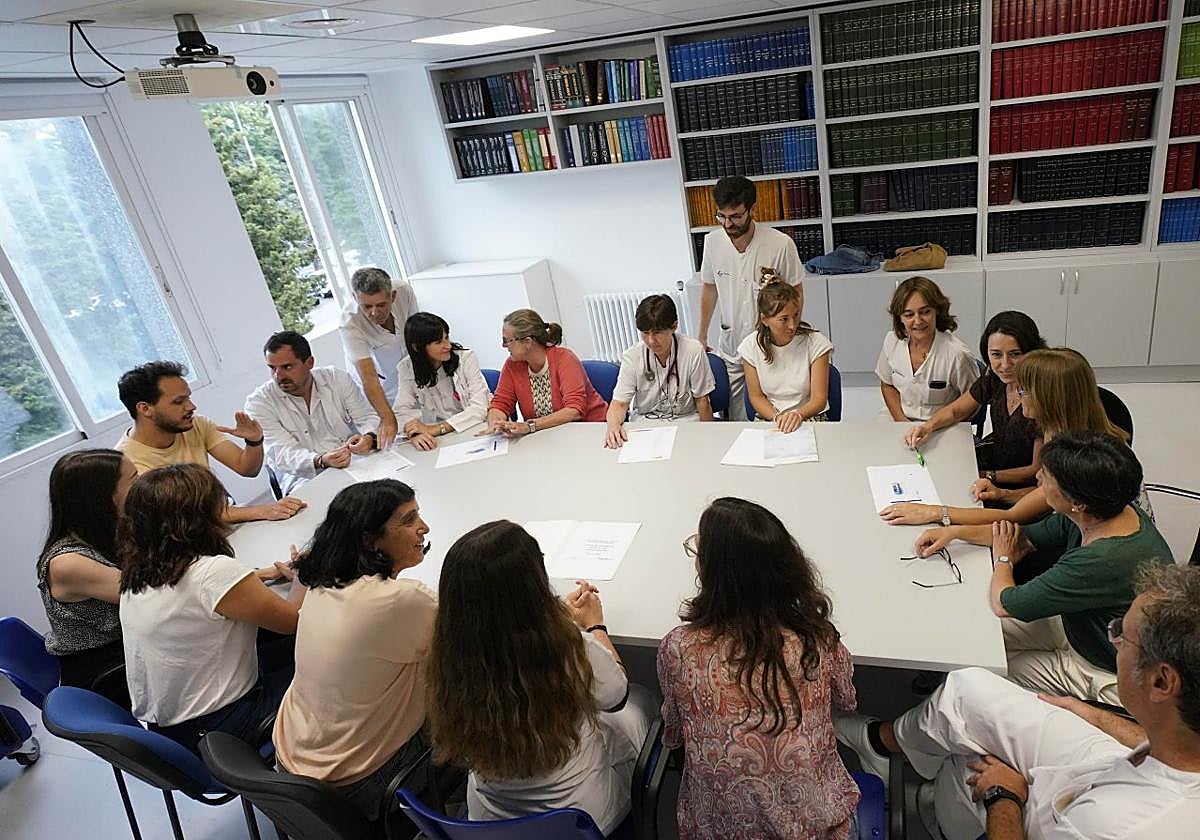 El equipo PROA hospitalario y comunitario de la OSI Donostialdea, durante una reunión de trabajo.