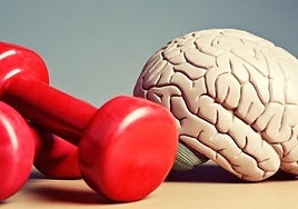 El cerebro no se va de vacaciones: los mejores consejos de los expertos para mantenerlo en forma durante el verano