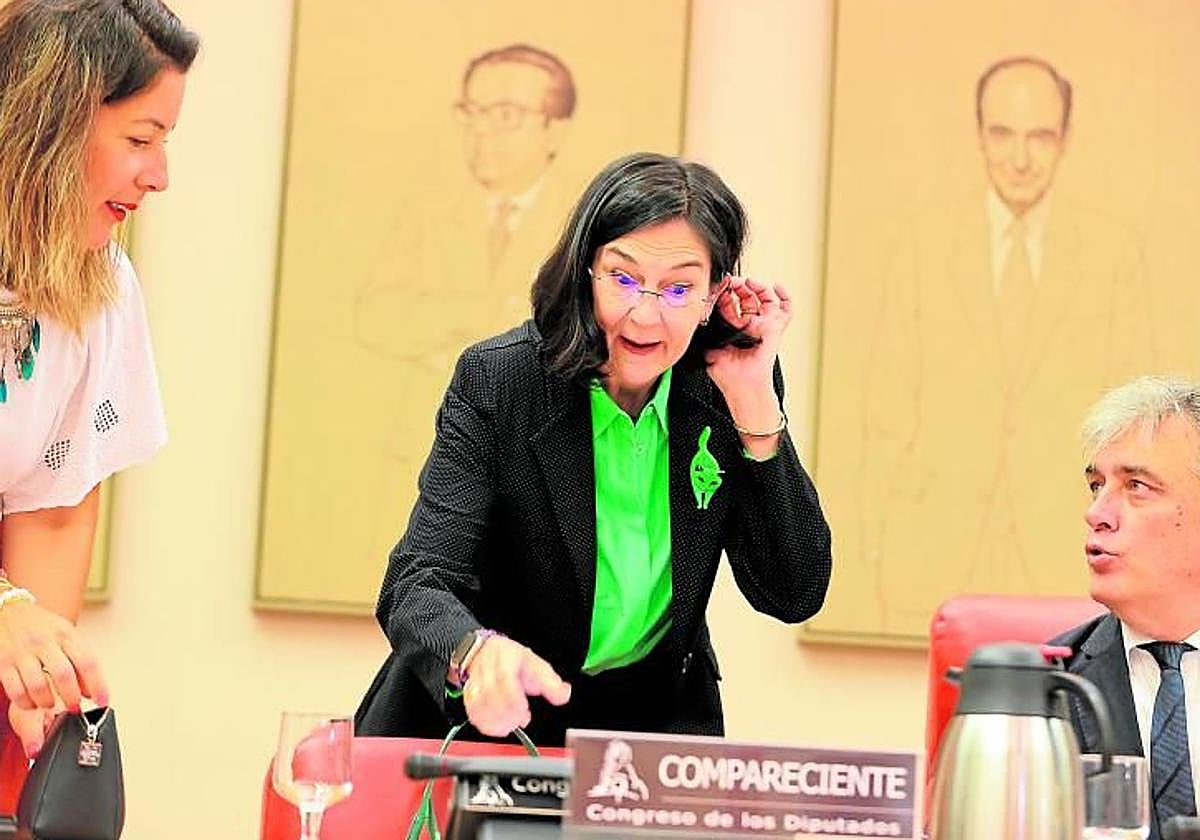 La presidenta de la CNMC, Cani Fernández, durante una comparecencia.