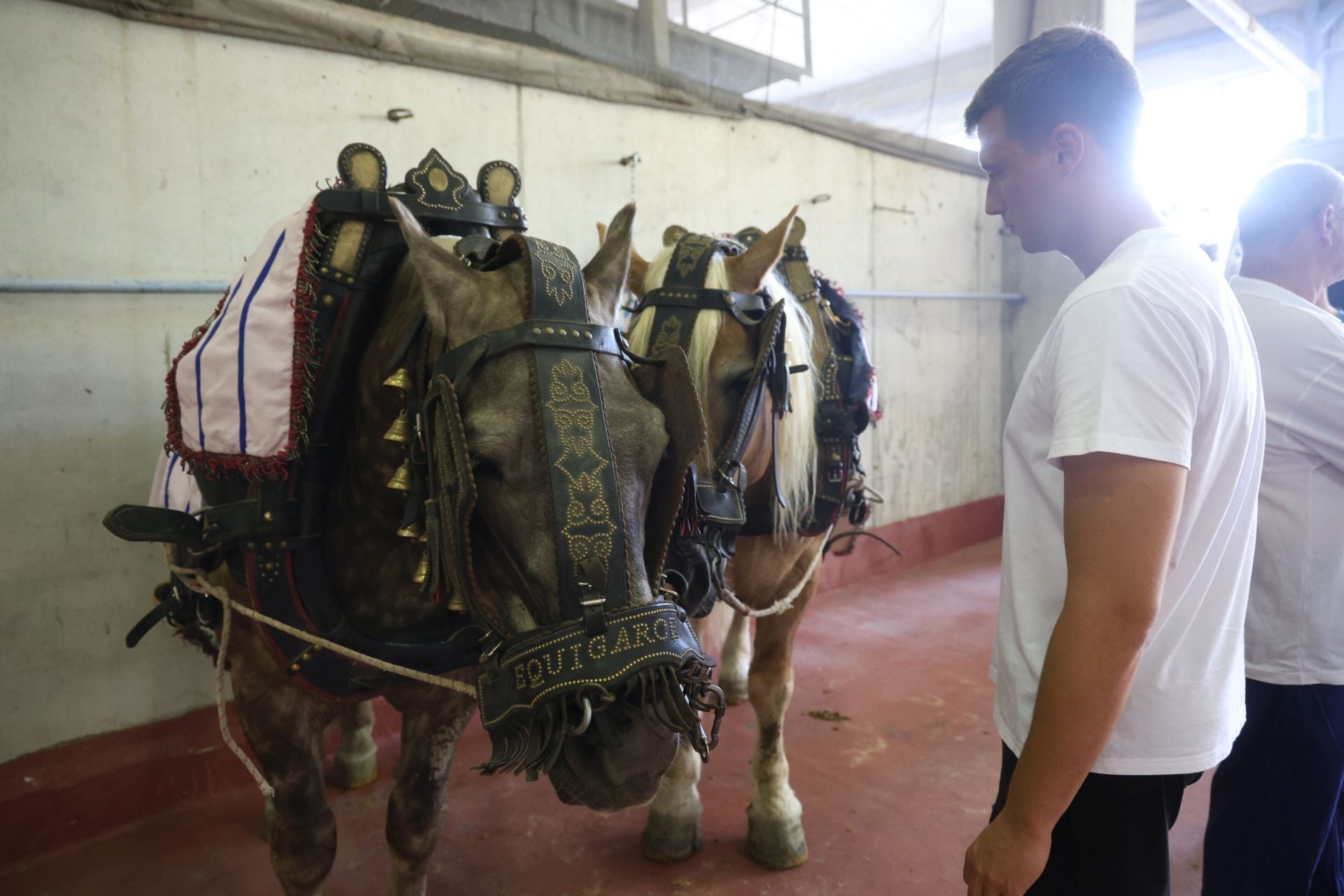 El encierro de El Vellosino abre las corridas de toros del Aste Nagusia
