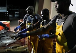 Arrantzales africanos en un puerto de Gipuzkoa.