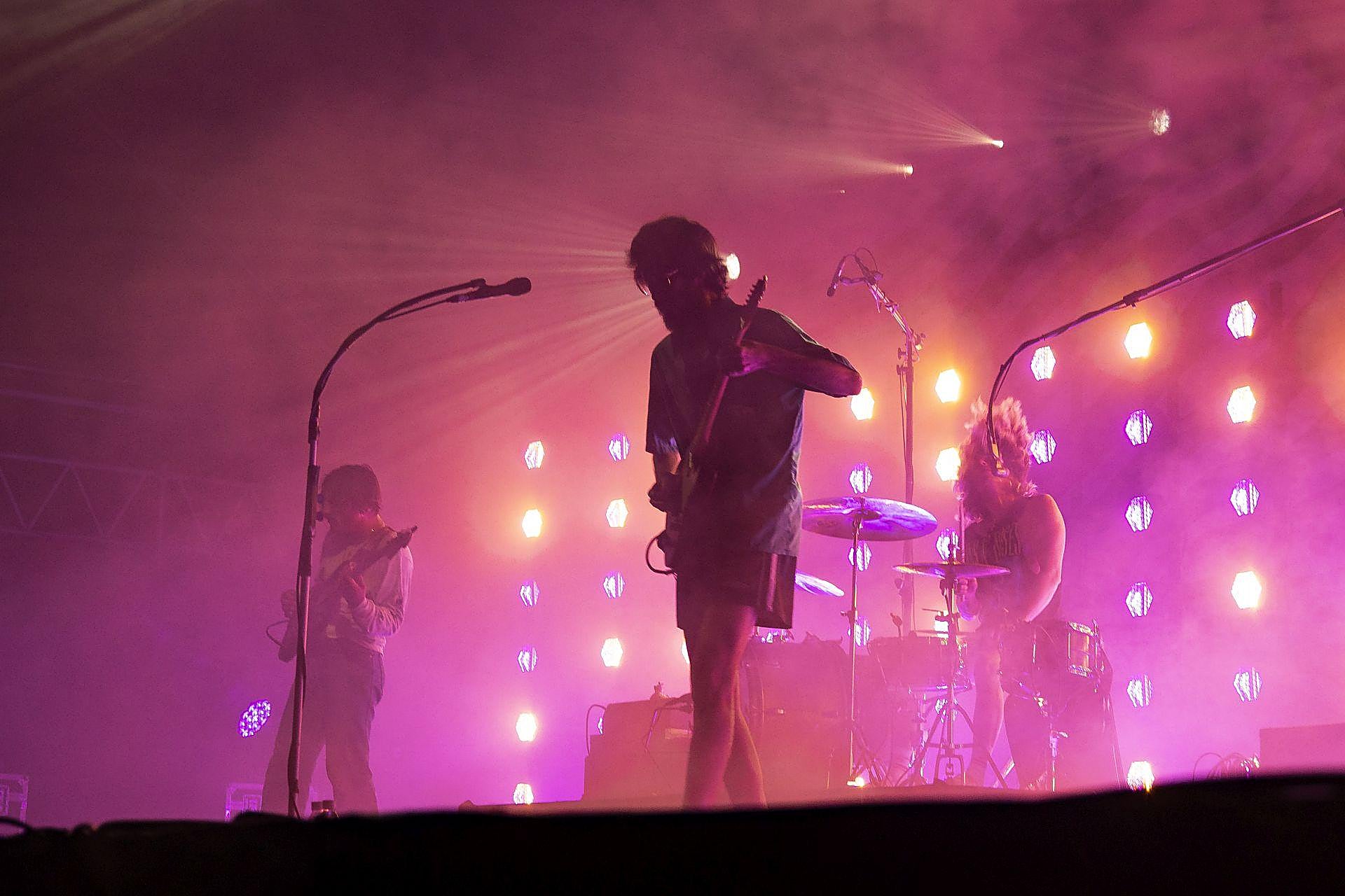 Sexy Zebras llenan de caos controlado Sagüés