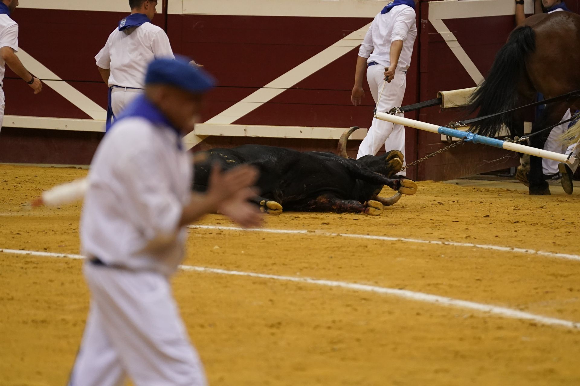 Tercera jornada de toros en Illunbe