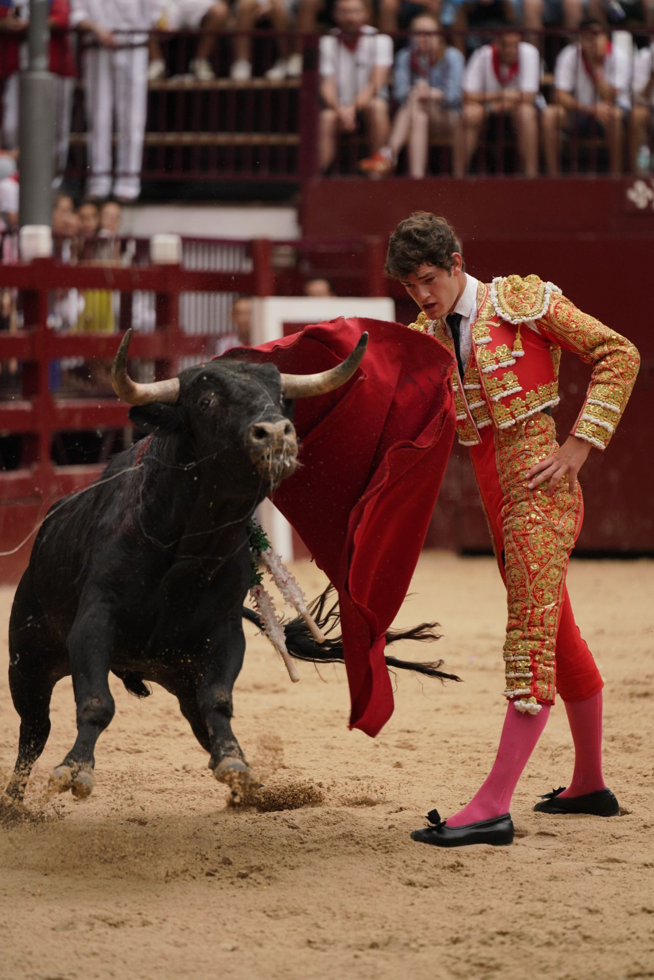 Novillada en el último día de San Roke