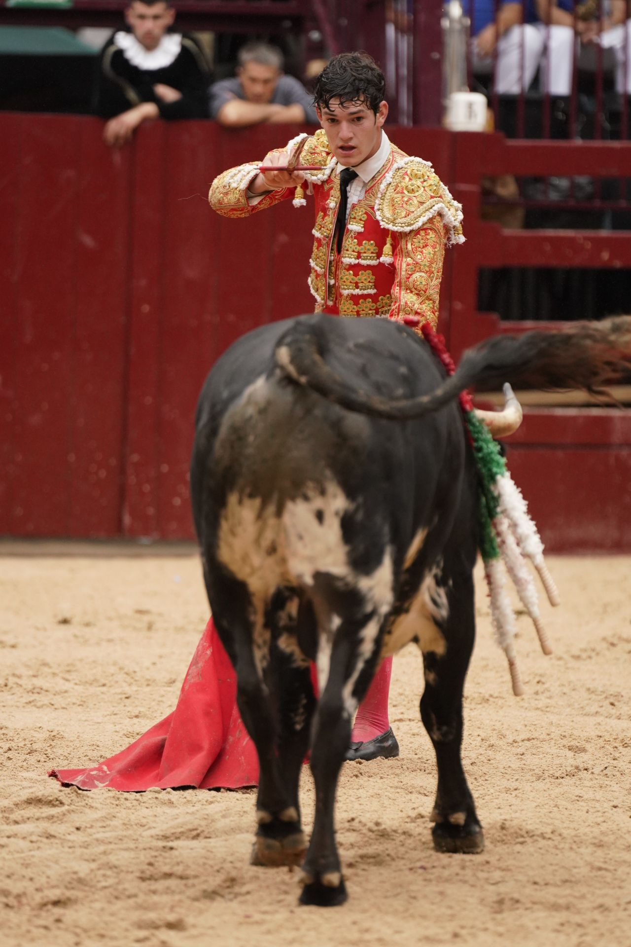 Novillada en el último día de San Roke