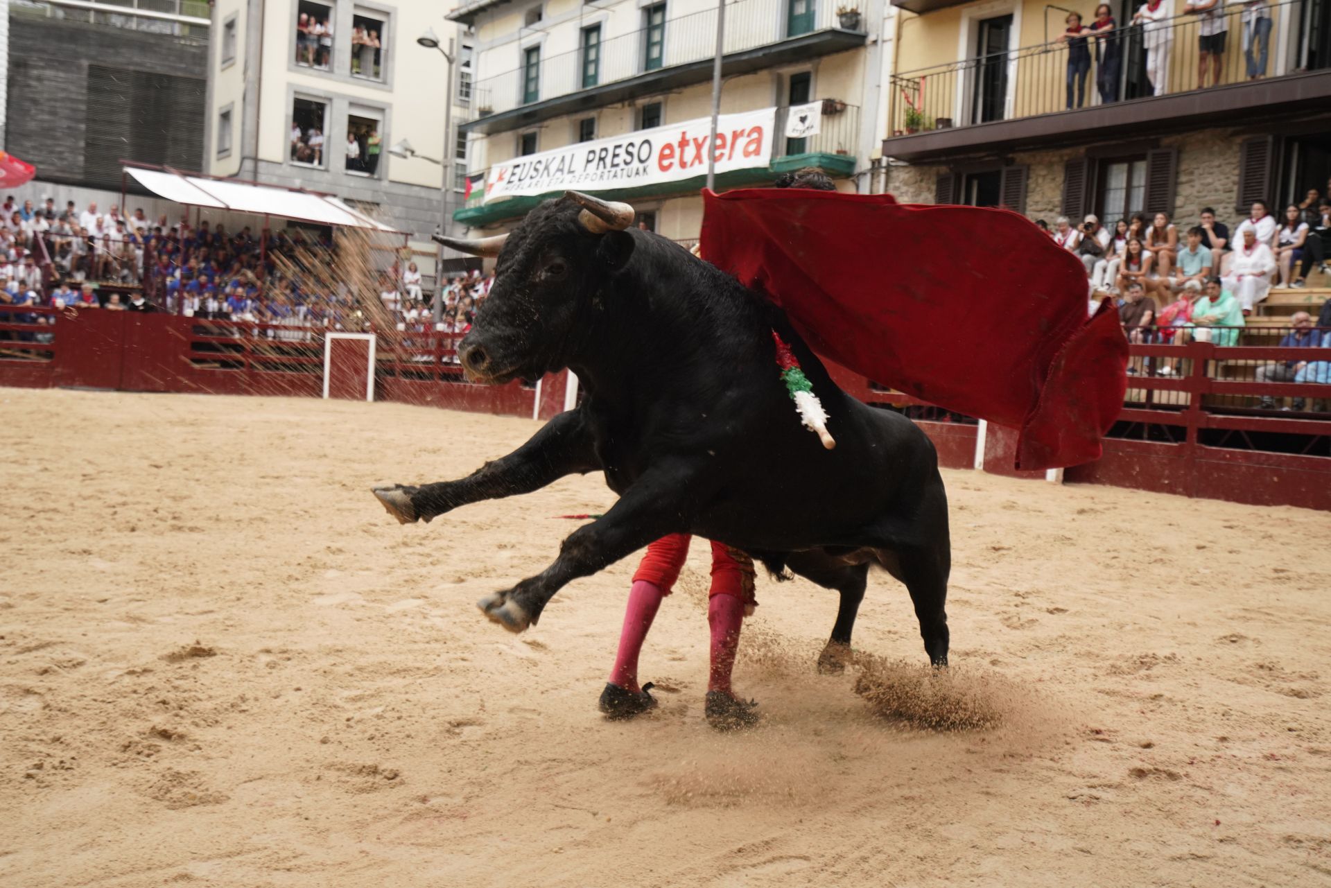 Novillada en el último día de San Roke