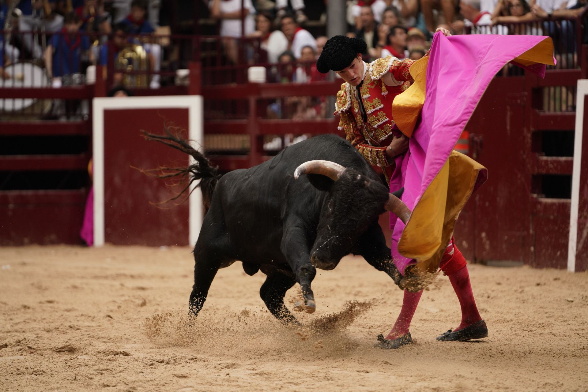 Novillada en el último día de San Roke