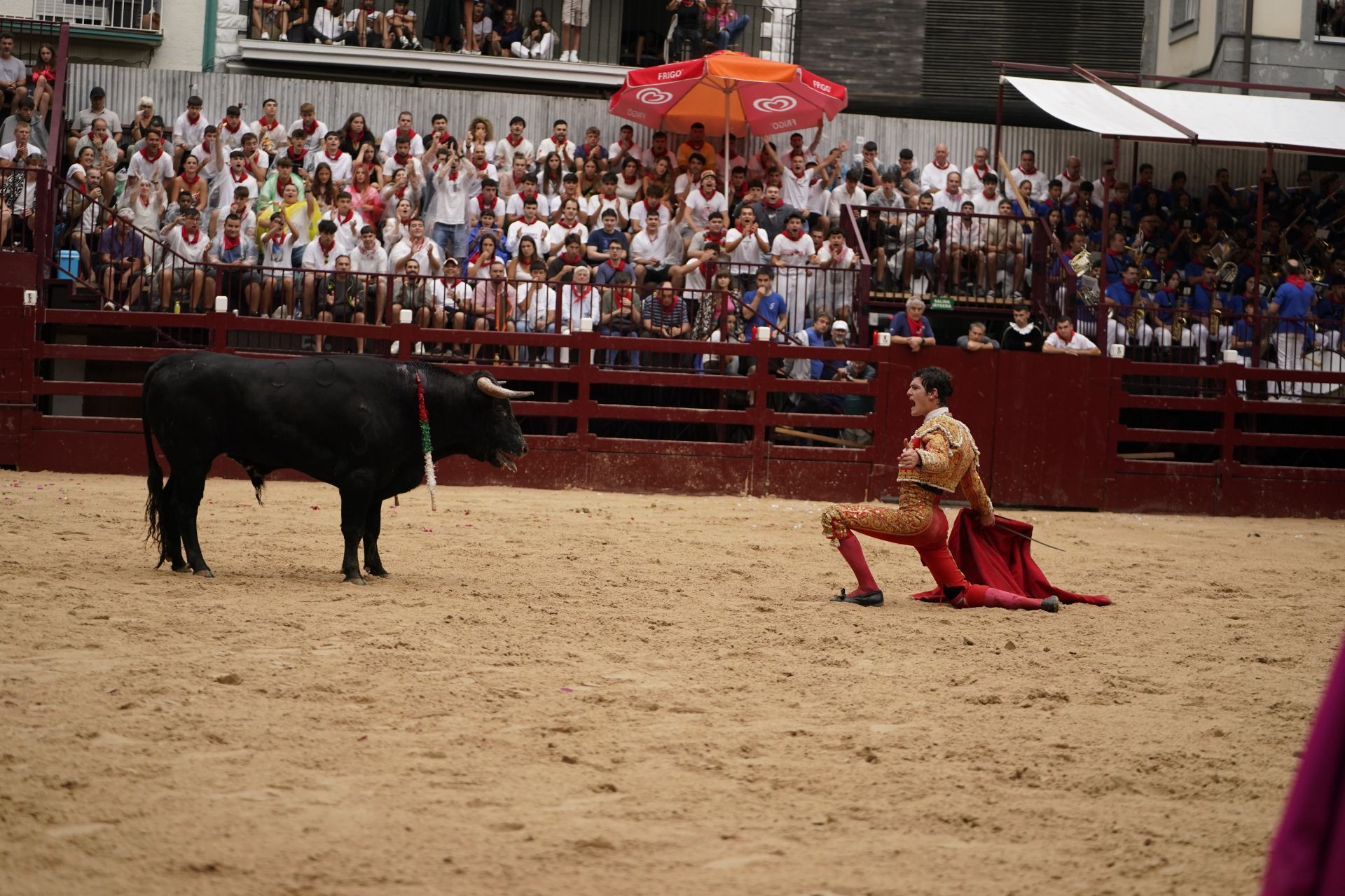 Novillada en el último día de San Roke