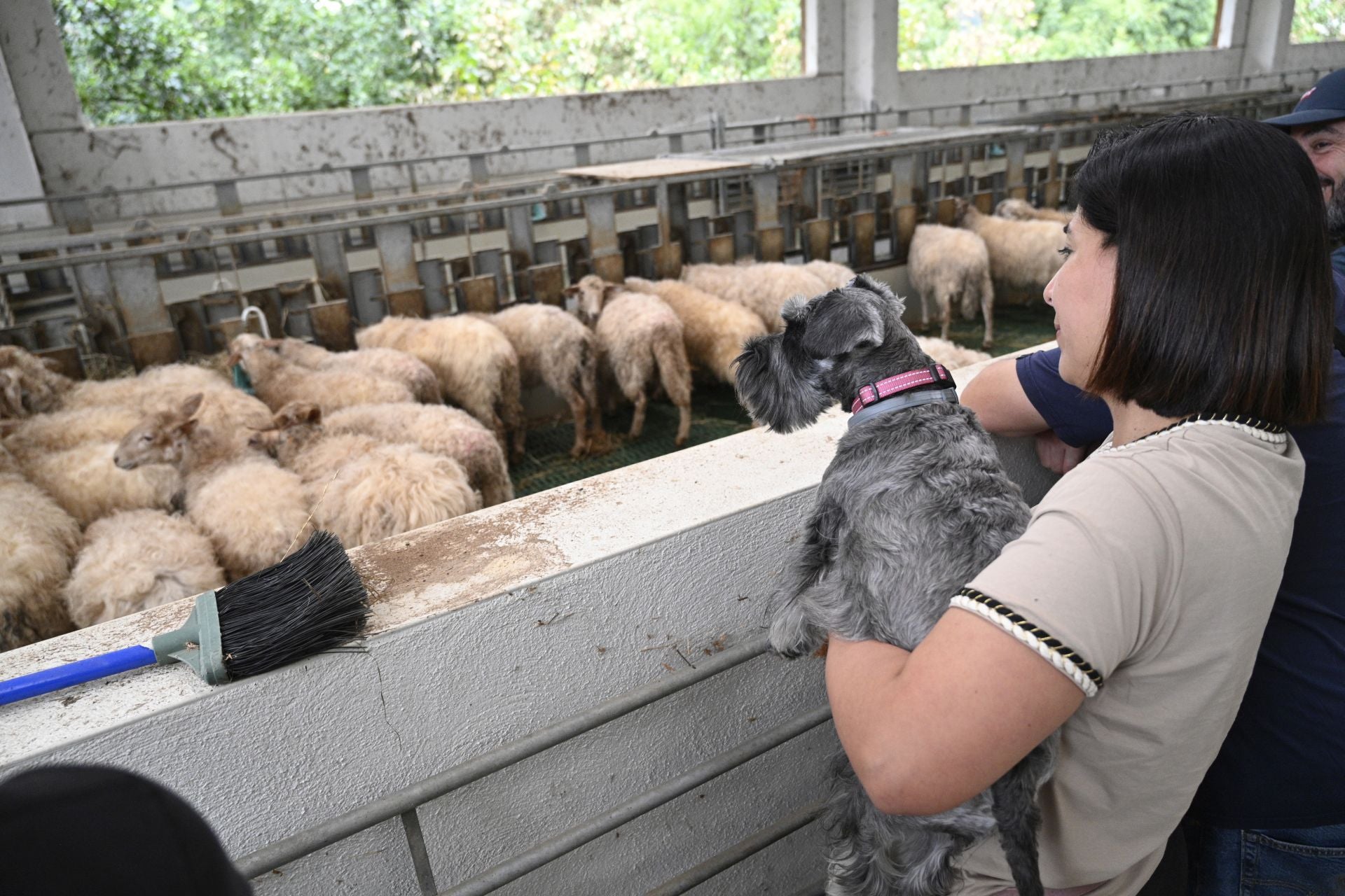 Visita a la quesería Ondramuño en Idiazabal