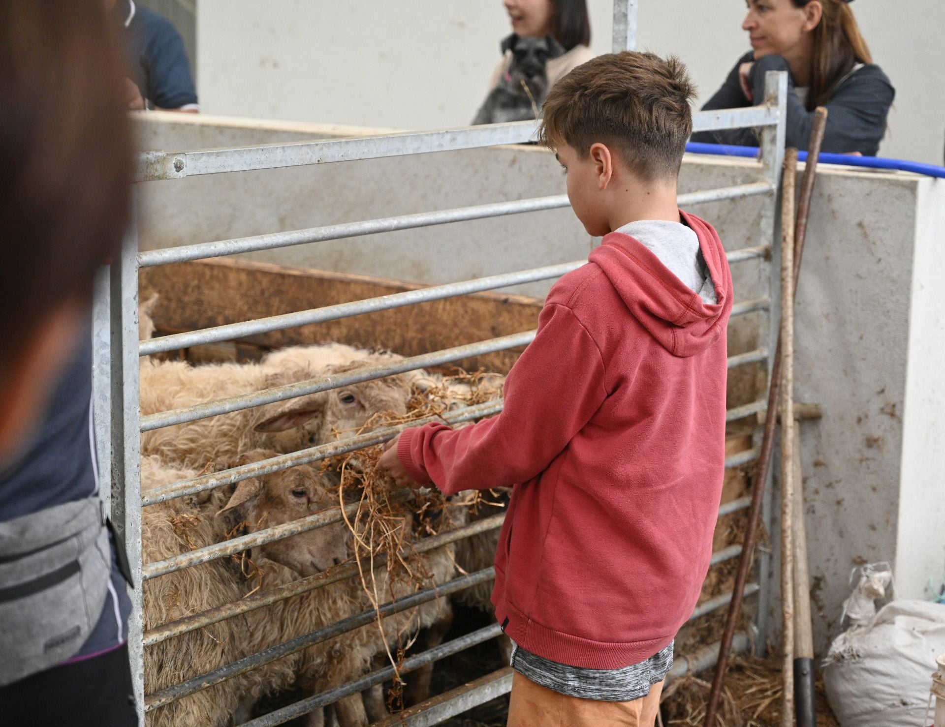 Visita a la quesería Ondramuño en Idiazabal