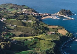 Getaria nolakoa izan behar duen erabaki beharko da.