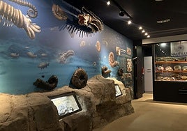 En el centro de interpretación, cada fósil está al alcance de la mano.