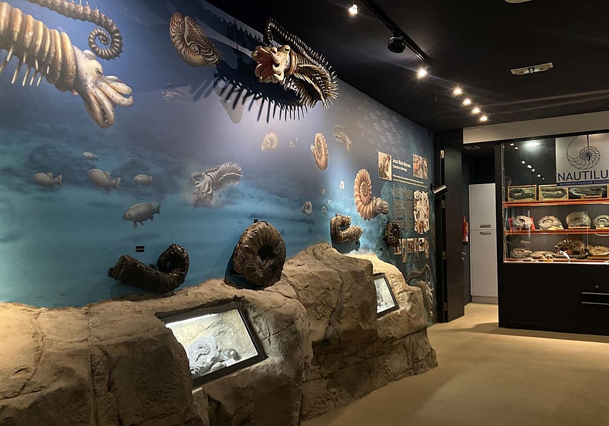 En el centro de interpretación, cada fósil está al alcance de la mano.