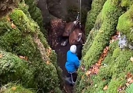 Espectacular rescate de un caballo de una sima en Aitzgorri
