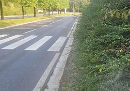 Maribel nos envía esta foto del paseo Mikeletegi de Miramon y dice: «A la altura de la rotonda de acceso a Viralgen y Tecnalia, es imprescindible que se poden los arbustos de este paso de peatones. Las zarzas, algunas con pinchos, imposibilitan un paso seguro por la acera, obligando al viandante a andar por la carretera, lo que supone un peligro».