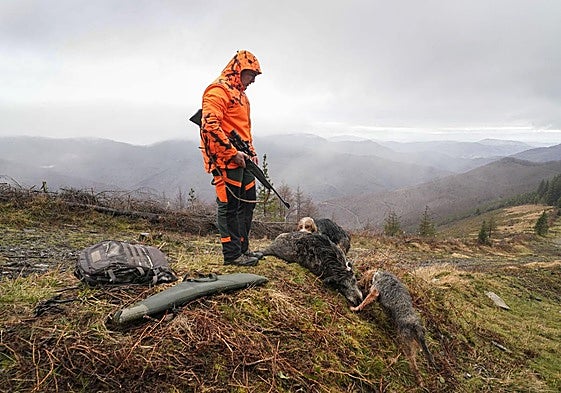 Un cazador observa junto a sus dos perros el jabalí neutralizado en una batida realizada este febrero en Berastegi.