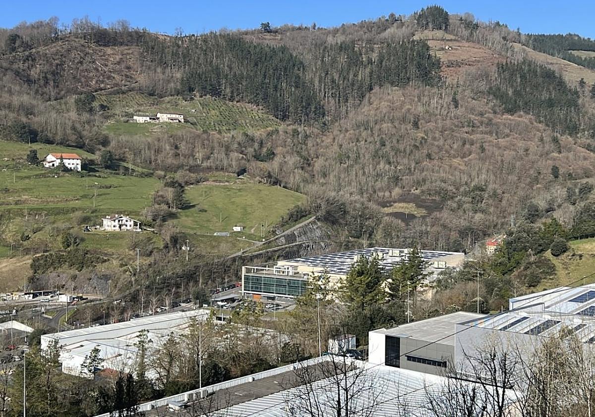 Las ayudas a las empresas tratan de impulsar su diversificación, la dinamización de tareas y reforzar el tejido empresarial eibarrés.
