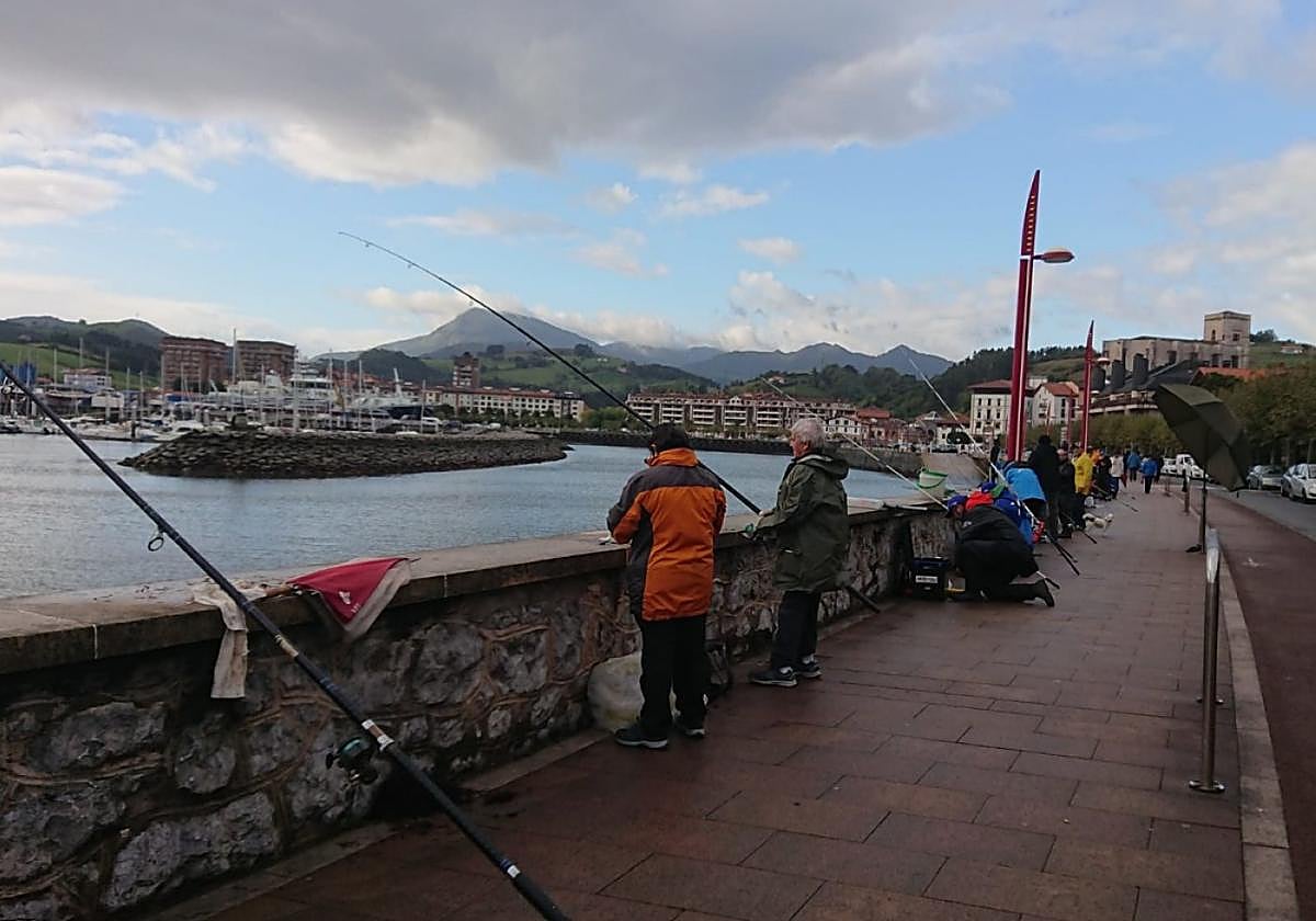 Varios participantes durante una edición del concurso organizado por Anade.